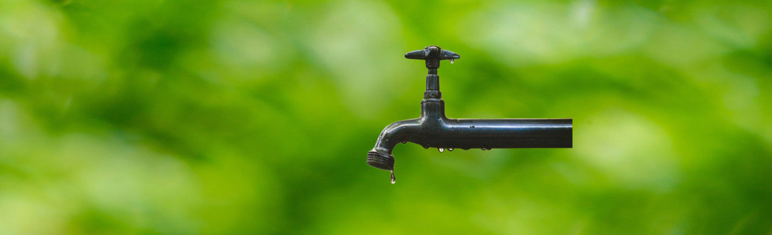 Black garden faucet with water droplets on a green blurred background