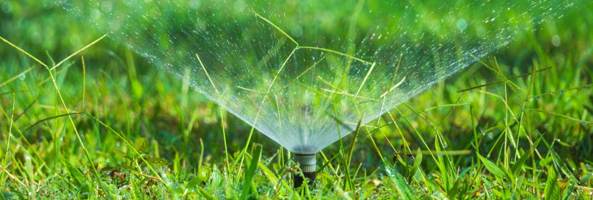 Sprinkler watering green grass